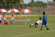 Enlarge photo 74