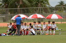 Enlarge photo 75