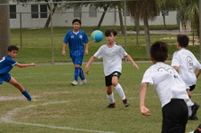Enlarge photo 77