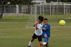 Enlarge photo 78