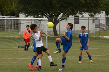 Enlarge photo 79