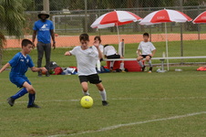 Enlarge photo 81