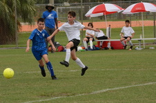 Enlarge photo 82