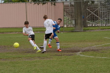 Enlarge photo 84