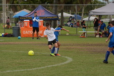 Enlarge photo 85