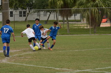 Enlarge photo 87