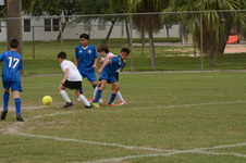 Enlarge photo 88