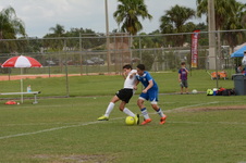 Enlarge photo 91