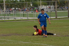 Enlarge photo 92