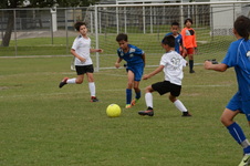 Enlarge photo 93