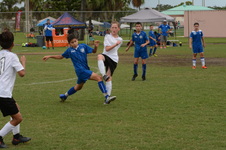 Enlarge photo 95