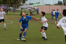 Enlarge photo 96