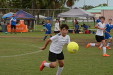 Enlarge photo 97