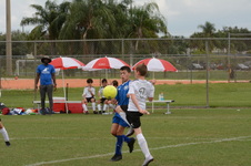 Enlarge photo 99