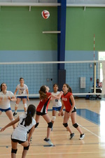 Enlarge photo 17