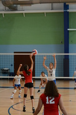 Enlarge photo 22