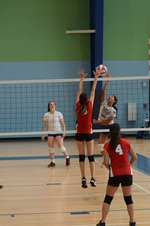 Enlarge photo 30
