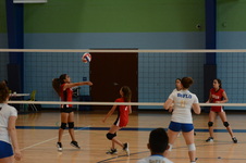 Enlarge photo 37