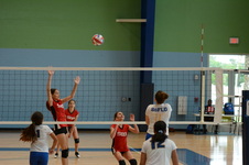 Enlarge photo 38