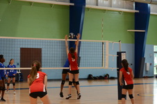 Enlarge photo 45