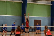 Enlarge photo 46