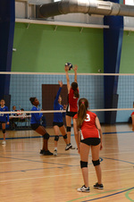 Enlarge photo 48