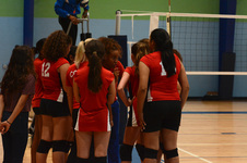 Enlarge photo 49