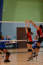 Enlarge photo 53
