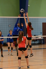 Enlarge photo 57