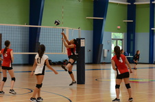 Enlarge photo 62