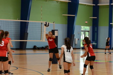 Enlarge photo 63
