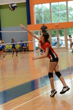 Enlarge photo 81