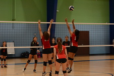 Enlarge photo 83