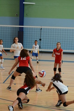 Enlarge photo 16
