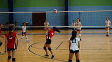 Enlarge photo 104