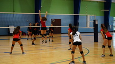 Enlarge photo 119
