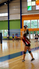 Enlarge photo 120