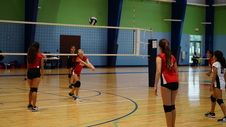 Enlarge photo 121