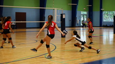 Enlarge photo 122