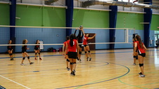 Enlarge photo 126