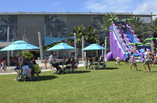 Enlarge photo 44
