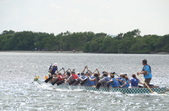 Enlarge photo 139