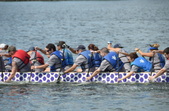 Enlarge photo 71
