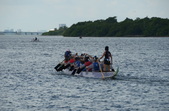 Enlarge photo 74