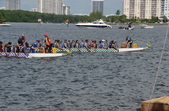 Enlarge photo 77