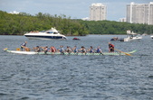 Enlarge photo 81