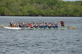 Enlarge photo 84