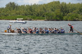 Enlarge photo 89