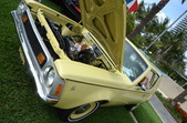 Enlarge photo 17