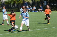 Enlarge photo 15
